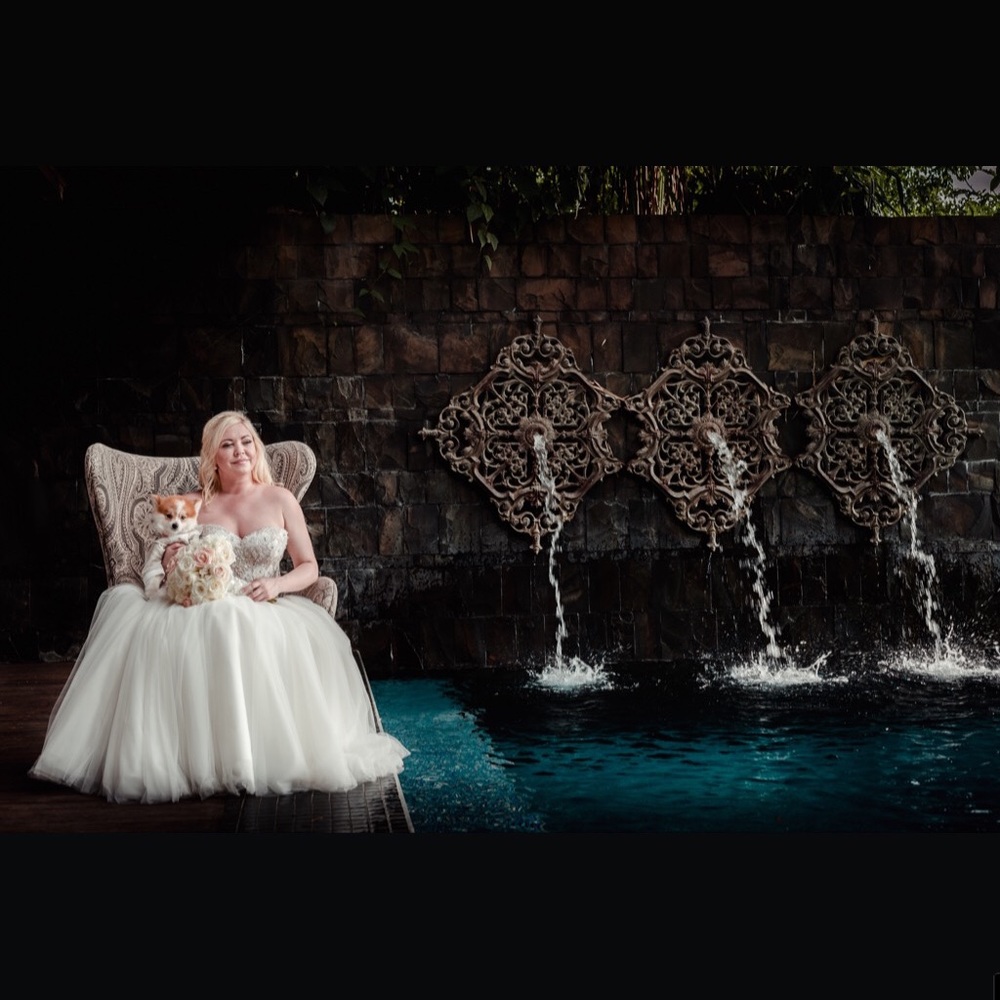Elegant Watters tulle with corset wedding dress